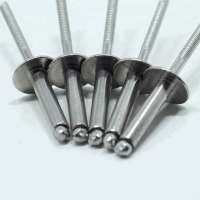 Large Head Stainless Steel Rivets