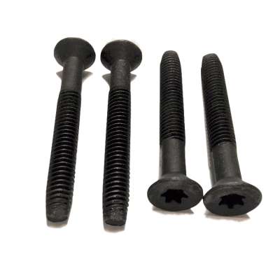 Torx recessed head roofing screw bolt