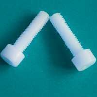 Plastic Hexagon Socket Cheese Head Polyamide Nylon PA66 Screw